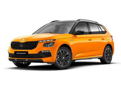 Ворсовые коврики на Skoda Kamiq (Европа) 2019&nbsp;-&nbsp;2026 в Комсомольске-на-Амуре