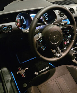 Ворсовые коврики на Ford Mustang VI 2013 - 2023 в Комсомольске-на-Амуре Ворсовые коврики на Ford Mustang VI 2013 - 2023 в Комсомольске-на-Амуре